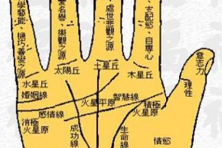 看手相算命，揭示女性一生的运势轨迹