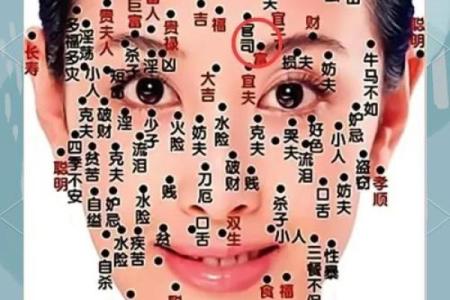痣相能否准确预测命运？科学与玄学的碰撞