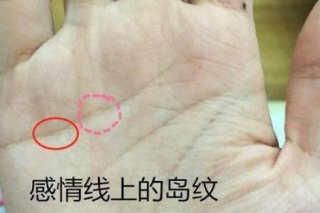 手相中的羽毛纹象征着什么？解密你的生命轨迹