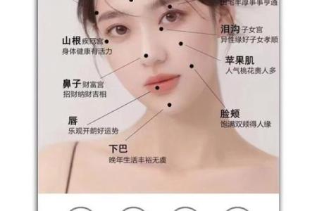 探究左脸酒窝对命理的深远影响