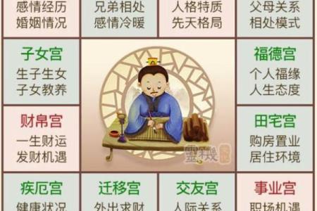 如何选择最适合的紫微排盘软件