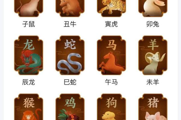兔子和哪些生肖性格最合拍，了解最佳配对