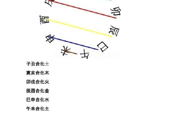 巳蛇天干与其他天干的关系与比较
