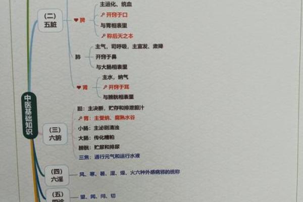 心脏在五行中属于哪一类及其深层含义解析