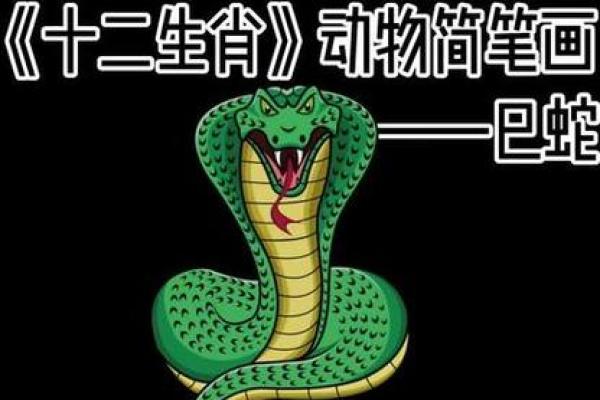 独特生肖蛇图片合集 精致画作解读蛇的象征意义