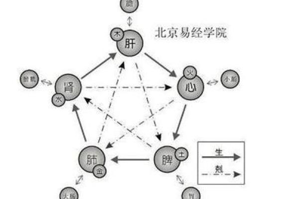 五行音乐与五脏调和的神秘关系探讨