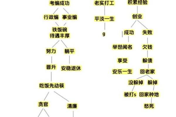 根据命理调整职业规划，提高人生成功概率