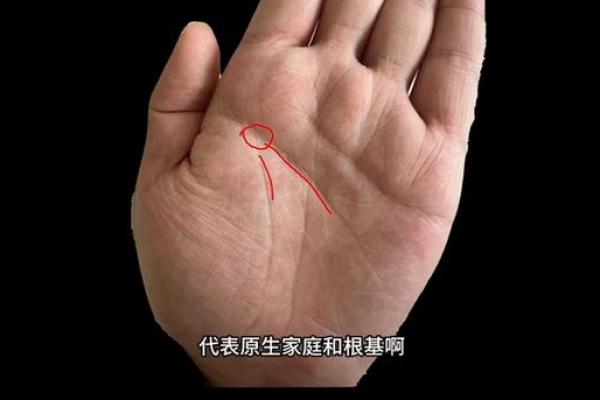 手相情欲线：解码你的情感需求与亲密关系