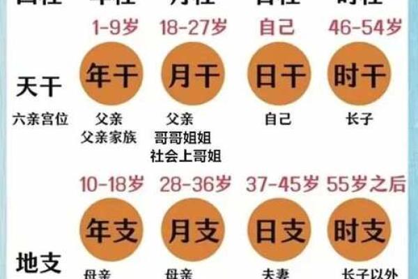 八字四柱排盘免费在线解读，快速了解命运走势