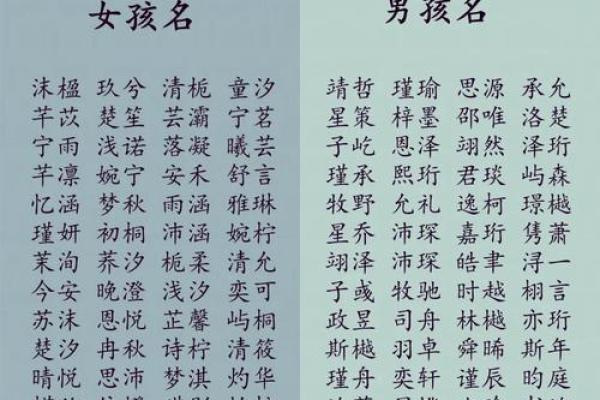 精选羊年男宝宝名字，助力未来好运