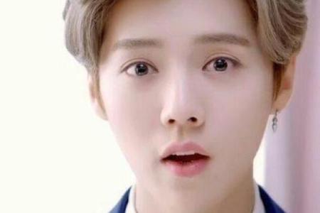 鹿晗手相揭秘：如何看明星手纹读心术