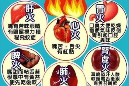 心脏在五行中属于哪一类及其深层含义解析
