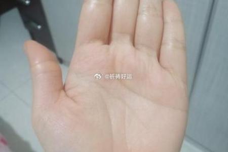 女星面相中的五官秘密揭示成功密码