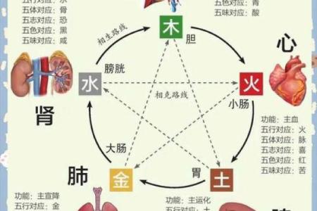 五行音乐与五脏调和的神秘关系探讨