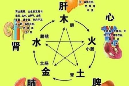 五行八字分析助你全面了解个人命运与运势