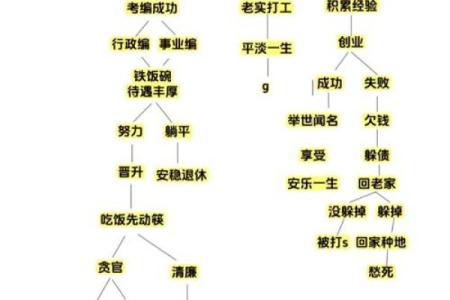 根据命理调整职业规划，提高人生成功概率