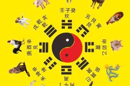天干地支的五行属性与生肖分析
