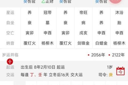八字四柱排盘免费在线解读，快速了解命运走势
