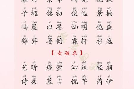 精选羊年男宝宝名字，助力未来好运