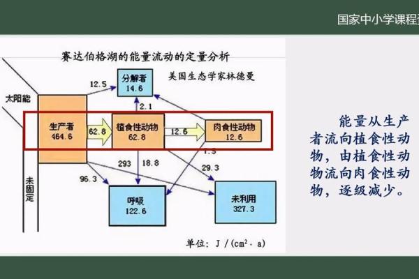 命水与生命能量的关联分析