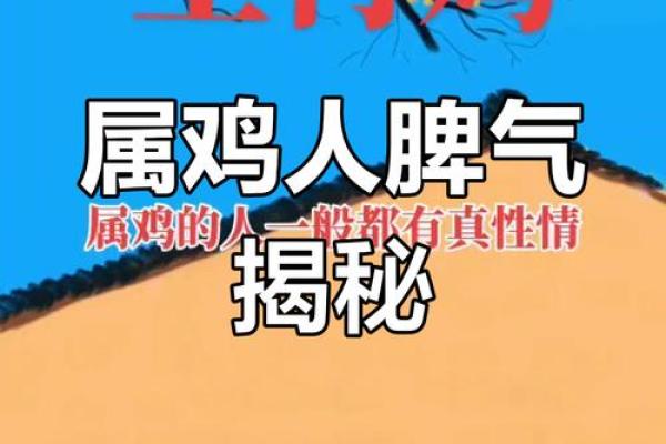 属鸡人一生的命运与性格分析
