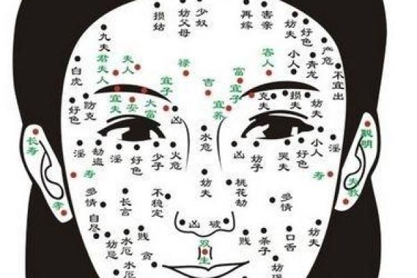 深入了解痣相大全与命运关联