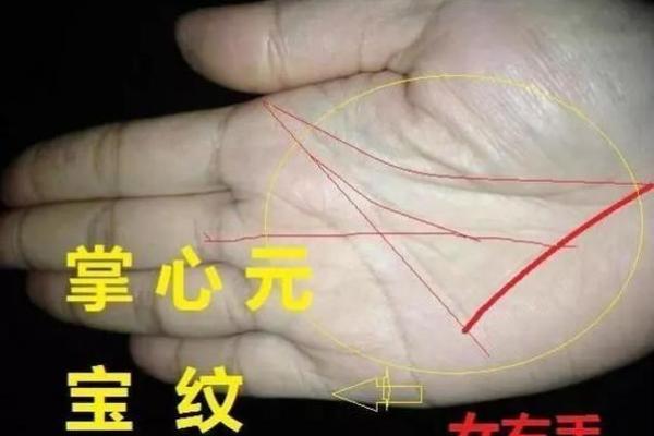 离婚女人手相中的转折点：掌纹中的新生力量