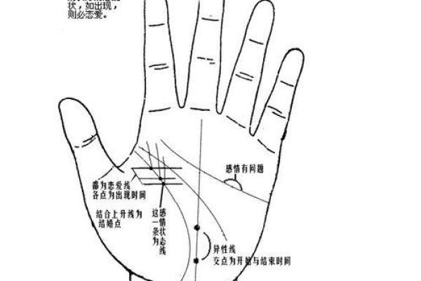 离婚女人手相中的转折点：掌纹中的新生力量