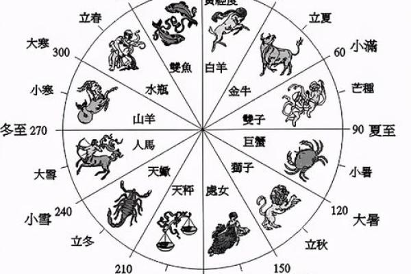 南方地区的生肖代表有哪些及其文化意义