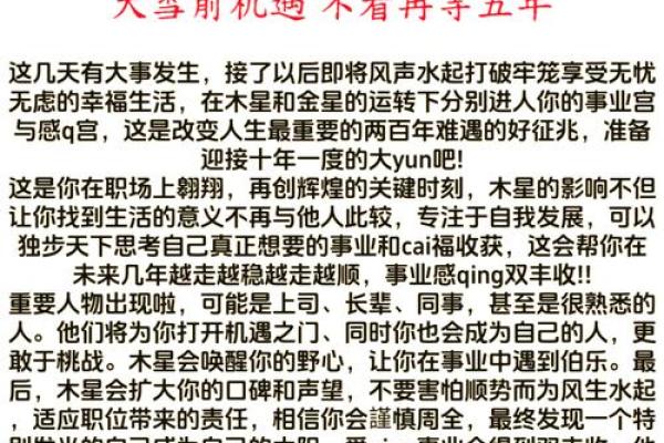 属虎人今日运势解析：挑战与机遇并存