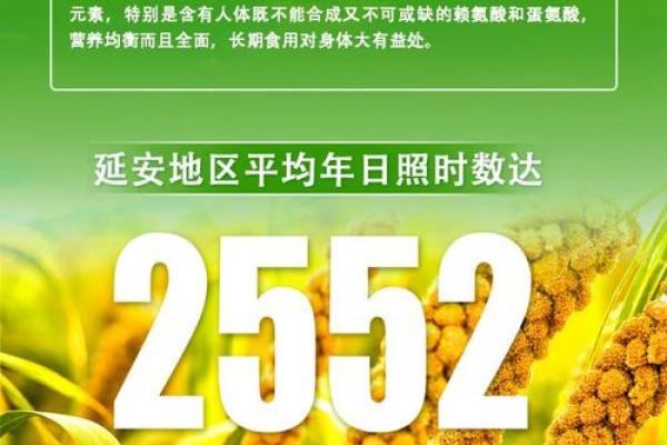 如何为粮油公司取一个既有创意又能提升品牌价值的名字