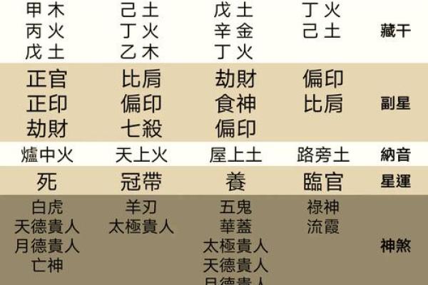 天干巳土的五行属性与影响解析
