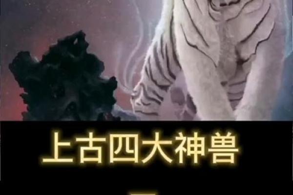 白虎命的五行属性与命运走向