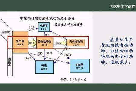 命水与生命能量的关联分析