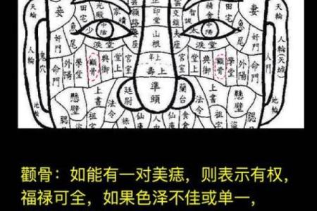 女相痣图解析：痣相如何影响女性运势