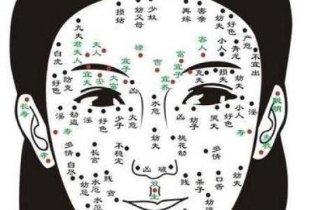 深入了解痣相大全与命运关联