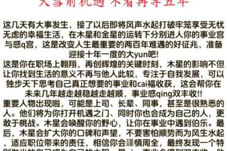 属虎人今日运势解析：挑战与机遇并存
