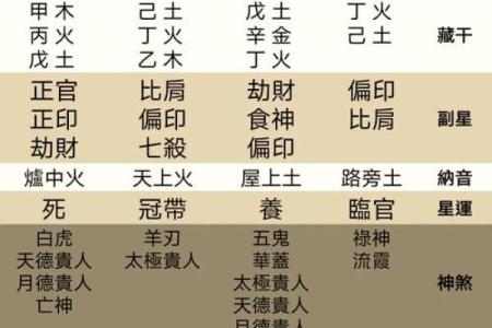 天干巳土的五行属性与影响解析