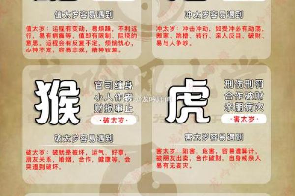巳蛇天干的五行与性格解析