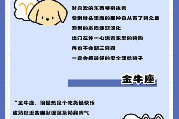 男兔与女狗的婚姻：星座合适吗？