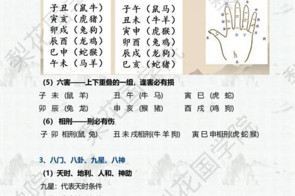 获取奇门遁甲排盘下载的最佳途径与注意事项
