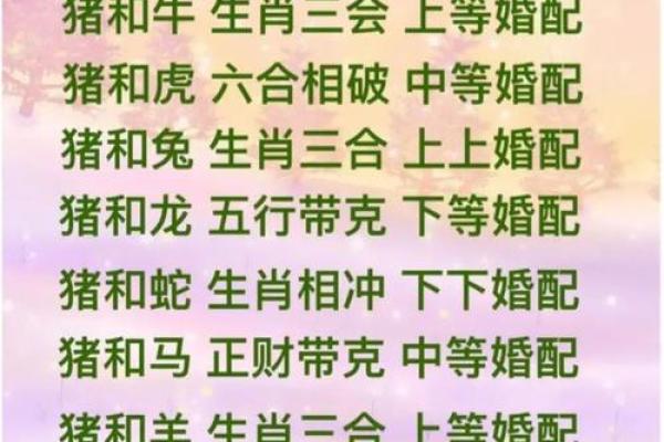 女鸡男马婚姻是否能走得长远？揭秘生肖配对的真相