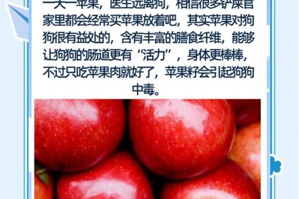 水果名字为狗年宝宝增添幸运与甜美气息