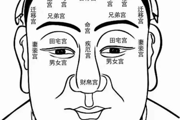 相痣图解：从面部痣的位置看性格与运势变化