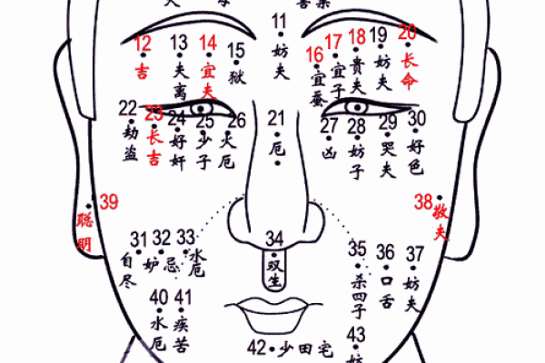 相痣图解：从面部痣的位置看性格与运势变化
