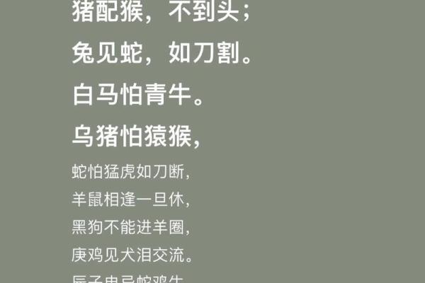蛇和猪相配婚姻：性格差异如何影响长久关系