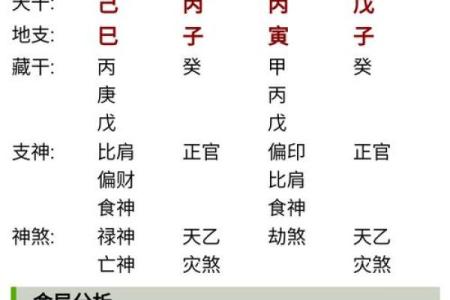 四柱排盘软件：快速获取八字命理分析