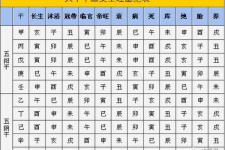 如何理解巳蛇天干在八字中的意义