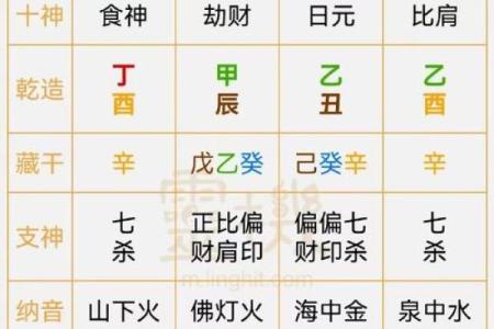 巳蛇天干的五行与性格解析