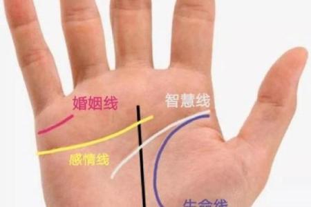 手相与面相的奥秘：从面部与手纹解读人生轨迹